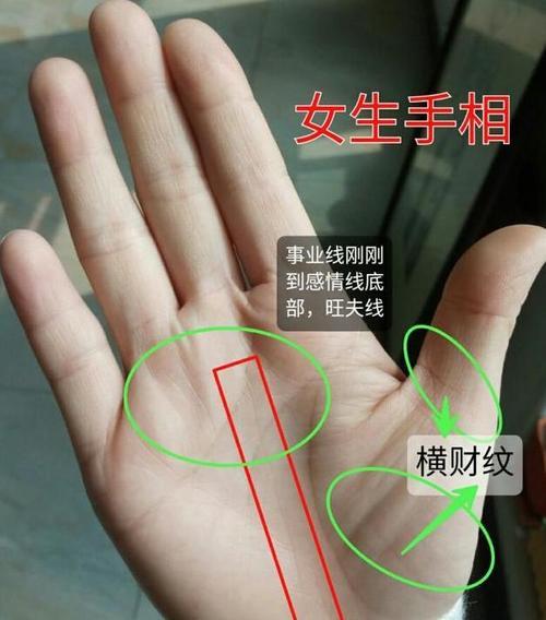 史上最罕见的手相掌纹图解大全 掌纹四条线的人命好吗