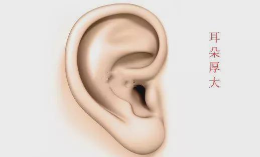 耳朵大的人寿命长吗 耳朵大小和什么有关