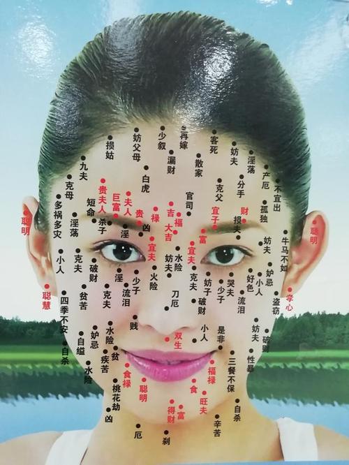 脸上痣的位置与命运解析 脸部长痣位置说法图