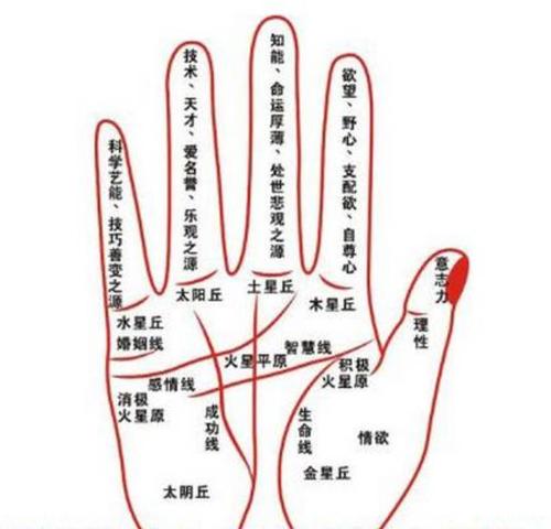 哪个手指代表财运 手相看财运9个特征