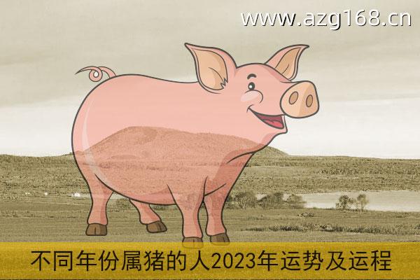 属猪人2023年运势及运程每月 2019年属猪人每月的运气运程