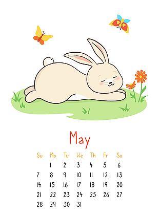 2023年兔子几月份好 二月、五月、八月