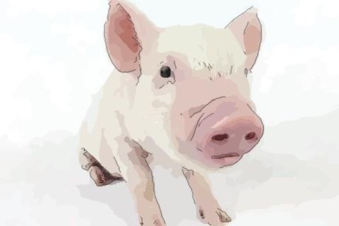 2020年生肖属猪订婚吉日一览表 属猪2020年上半年订婚吉日精选