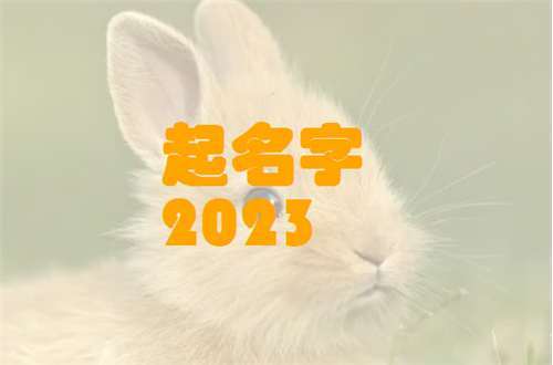 2023年出生的兔宝宝取什么名字 2023年兔宝宝取名最佳的字