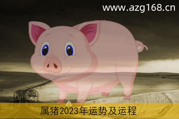2020年生肖属猪人农历正月可以订婚吗？仅7天适合 2020年生肖猪农历正月可以订婚吗 